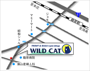 WILD CAT ワイルドキャット　マップ